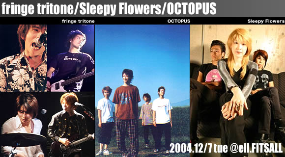 fringe tritone/Sleepy Flowers/OCTOPUS